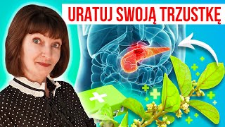 🌿 Jak leczyć chorą TRZUSTKĘ 🌿 Trzustka Objawy BADANIA naturalne metody wspomagania cz2 [upl. by Lanfri]