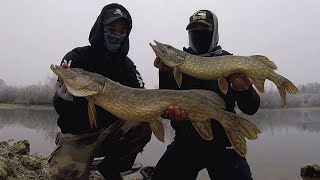 Comment pêcher le BROCHET en HIVER 🥶 [upl. by Midian437]