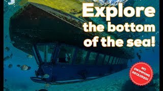 Cancun Submarine Tour at Punta Nizuc reef  Subsee Explorer [upl. by Housen141]