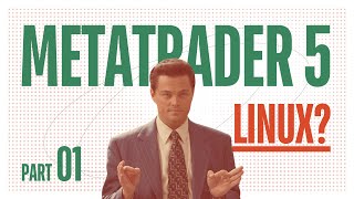 How to deploy MetaTrader 5 on Linux servers  MT5 Quant Server with Python Tutorial Series  Part 01 [upl. by Soo]