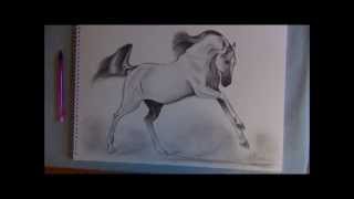 How to Draw a Galloping Bay Horse 16th January 2012 [upl. by Merrick403]