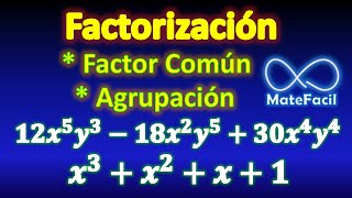 15 Factorización Factor común y agrupación DESDE CERO MUY FÁCIL [upl. by Sauveur945]