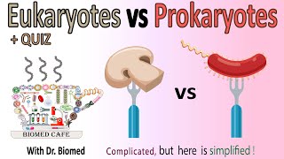 Eukaryotes vs Prokaryotes [upl. by Naegem]