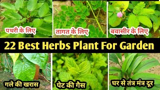 22 Best Herbs Plant For Garden  यह 22औषधीय पौधे गार्डन में जरूर लगाएं  Home Garden [upl. by Elena]