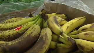 Dans les coulisses dun magasin de déstockage alimentaire  La Quotidienne [upl. by Iolenta]