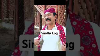 Sindhi Log New Album Song Ghulam Hussain Umrani AJ Geet Official youtubeshorts sindhiculturesongs [upl. by Luciana51]