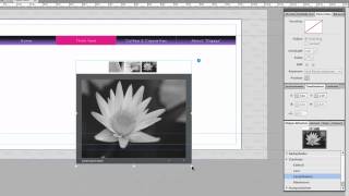 TutorialMusemp4 [upl. by Freiman634]