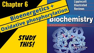 Lippincotts Biochemistry Review Chapter 6 Bioenergetics and Oxidative phosphorylation Study This [upl. by Noffihc]