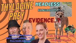 Beware graphic imagesThylacine evidence investigation headless Kangaroos with ABC Radio Adelaide [upl. by Vergos308]