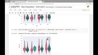 Seaborn Violin plot Part 2 [upl. by Airual]