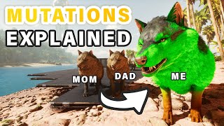 How to Stack or Move Mutations  Breeding Mutations Explained Ingame ► Ark Survival Ascended [upl. by Kola]