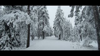 Sono stato nella Lapponia Finlandese a Rovaniemi da Babbo Natale [upl. by Snehpets]