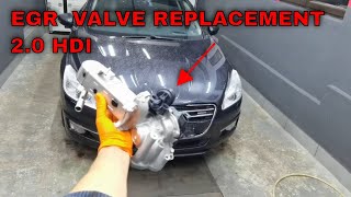 EGR Valve and Cooler Replacement On Peugeot 20 HDIcomplete video tutorial [upl. by Tillford274]