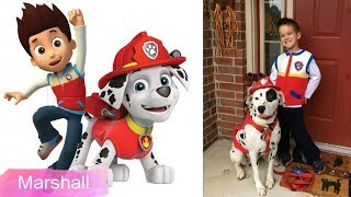 Paw Patrol Dogs Real Life Breeds [upl. by Kubetz943]