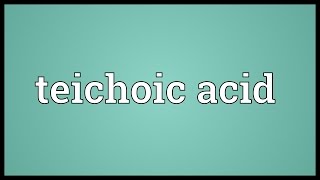 Teichoic acid Meaning [upl. by Anillehs]