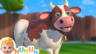 The Cow song  More Nursery Rhymes amp kids Songs  NuNu Tv [upl. by Freeborn71]