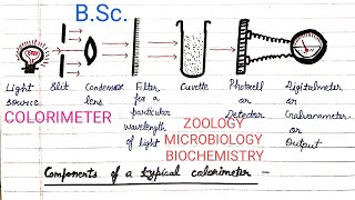 Colorimeter  Colorimetry  BSc  Introduction  Laws Working  Use  Advantages  Disadvantages [upl. by Delia943]