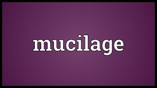 Mucilage Meaning [upl. by Yacov]