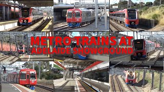 METRO TRAINS AT ADELAIDE SHOWGROUND STATION [upl. by Tamsky]