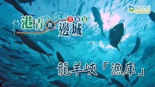 【K2秀】【港青在邊城】青海篇 第三集：龍羊峽「漁庫」 [upl. by Anaiek]