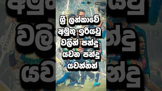 ශ්‍රී ලන්කාවේ🇱🇰 දුර්ලබ ඉරියව් වලින් පන්දු යවන පන්දු යවන්නන් 😱 rare bowlers in sri lanka shorts [upl. by Tani]