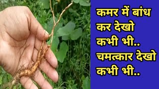 ayurved health tips in hindi  health motivational speech powar of apamarg jadaao dekho all mix [upl. by Aimil204]