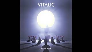 Vitalic  Stamina 10 MIN EXTENDED [upl. by Laeynad]