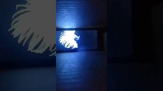 Diy simple hologram projector  homemade  easy 3D easyscienceprojects [upl. by Guillermo992]