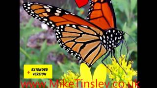 Mike Tinsley Butterfly [upl. by Mitchell]