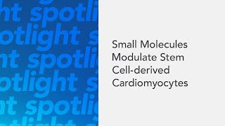 Small Molecules Modulate Stem Cellderived Cardiomyocytes [upl. by Anavrin]