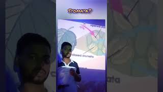 what is the work of stomataclass9 stomata science [upl. by Riddle]