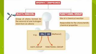 Functional Groups in Organic Compounds [upl. by Nnylsia]