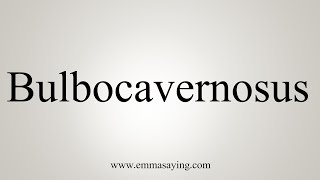 How To Say Bulbocavernosus [upl. by Lleunamme]