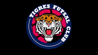 TIGRES FS vs Llaneros de Guarico  FUTSAL TV [upl. by Bellew]