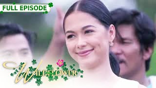 ENG SUB Ep 171  Wildflower  Maja Salvador Tirso Cruz III Aiko Melendez [upl. by Durkee]