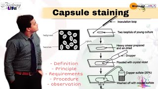 Capsule staining in hindi ll biology ll [upl. by Hal]