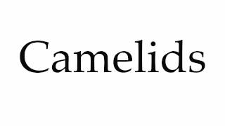 How to Pronounce Camelids [upl. by Dinesh]