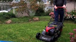 One of the fastest real time lawn mowing videos on YouTube [upl. by Zonda]