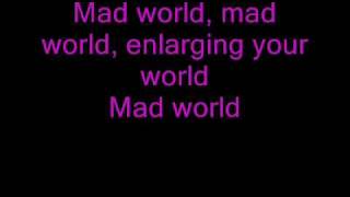 Mad World Gary Jules lyrics [upl. by Arihsaj]