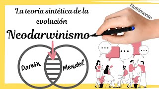 Neodarwinismo  TEORÍA SINTÉTICA de la EVOLUCIÓN [upl. by Cohen]