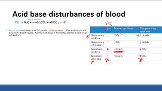 Acid base disturbances  Pulmonary system  Step 1 Simplified [upl. by Plate]