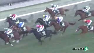 【競馬】第67回 日刊スポーツ賞中山金杯 GⅢ【JRA】 [upl. by Sidell]