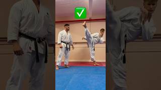 Correcting the Karate mawashi geri roundhouse kick karate martialartskicksshotokan ​⁠nathearn [upl. by Isiah129]