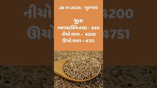 તલ ના ભાવ  જીરું ના ભાવ । મગફળી ના ભાવ । આજના બજાર ભાવ  રાજકોટ માર્કેટ યાર્ડ trending [upl. by Neelrahc]