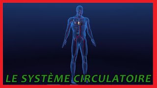 Le système circulatoire [upl. by Yliab]