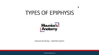 General Anatomy  Skeletal Systems  Types of Epiphysis 33 [upl. by Anrev]