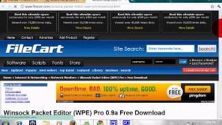 How To Download WPE For Free Virus Free [upl. by Alan]