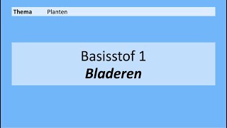 VMBO 4  Planten  Basisstof 1 Bladeren  8e editie [upl. by Antonina]