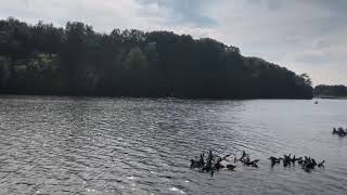 Fishing trip to Christie Lake Conservation Area [upl. by Acisseg]