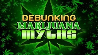 Debunking Marijuana Myths [upl. by Champaigne]